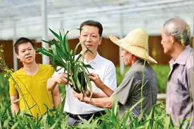 《求是》杂志编辑部：培养造就堪当民族复兴重任的高素质年轻干部队伍图片