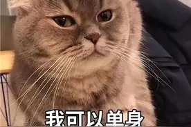 贝儿老根火遍全网，挖掘一下背后的故事图片