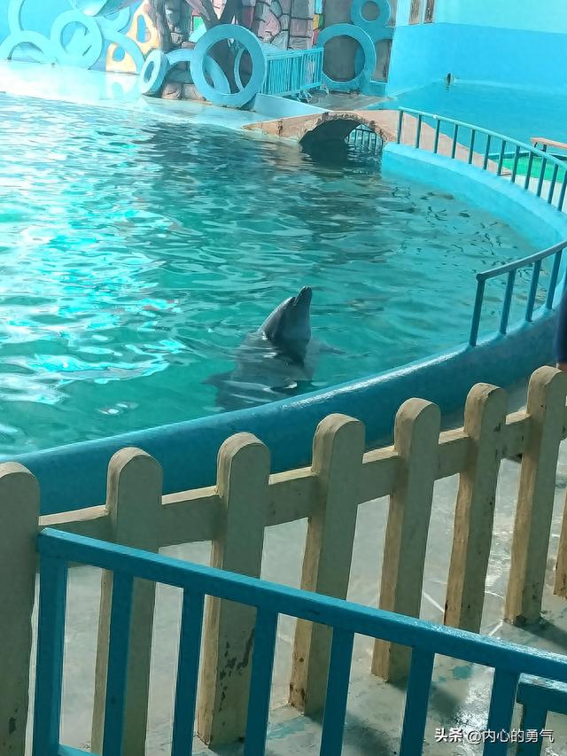 蓬莱旅游攻略(蓬莱一日游最佳方案)