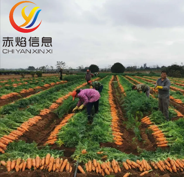 共享农场小程序系统,让农场主卖的好,管理员管的更好