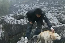 09年，四川男子捡到流浪黄狗，吓得妻女回娘家，结果黄狗身份不凡图片
