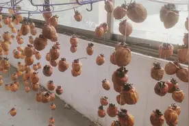 上次柿饼晒的发黑的姐妹们看一下我晒的图片