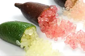 盆栽手指柠檬上手和养护指南，秋季买好苗，第二年就能结果图片