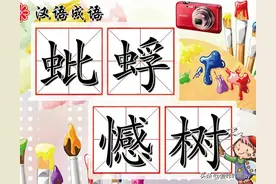 一日一成语 蚍蜉撼树图片