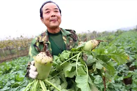 糖尿病最“怕”这6种蔬菜，不吃药也能降血糖？别再让爸妈受骗了图片