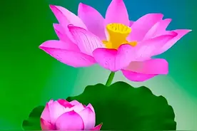 做人要善良，说话有分寸，得理且饶人，帮人即帮己图片