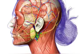 世上最痛的3种病，疼痛程度不亚于古代的酷刑，经历过的都是超人图片