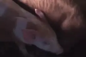 3招轻松搞定秋冬季节的呼吸道疾病和病毒性疾病图片