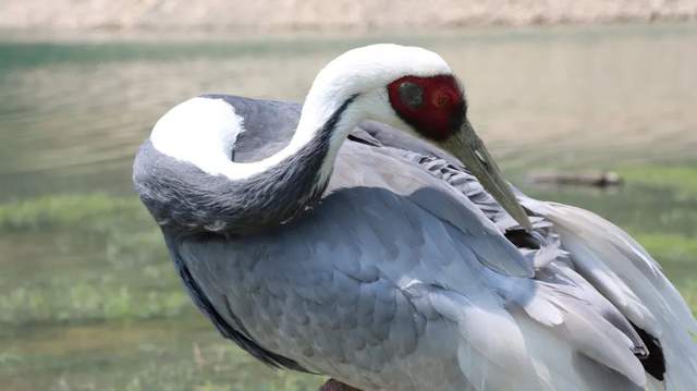 四川省民生研究会新媒体中心-官网