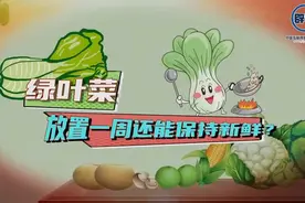 绿叶菜放置一周还能保持新鲜？图片