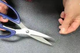 剪刀不管多钝，用一根针，马上变得锋利如初，比新买的锋利，真棒图片