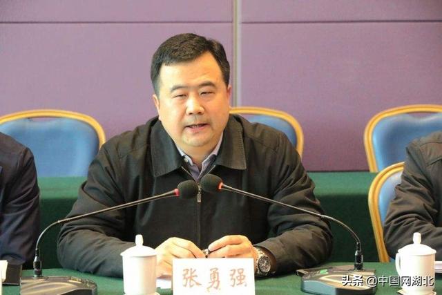 张勇强任东湖高新区工委副书记、管委会主任、中国（湖北）自由商业试验区武汉片区管委会主任（兼）