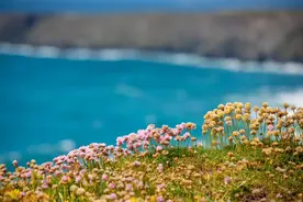 艺考生减肥法，两周12斤，赶快收藏图片