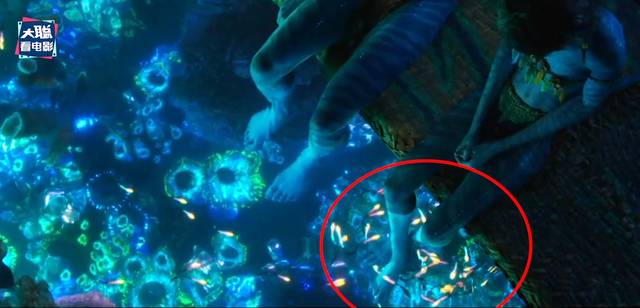 《阿凡达2》最终预告解析！老二社死名场面！更多新画面曝光