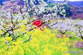 广州出发-韶关3天游，打卡九峰山世外桃源，游丹霞山图片
