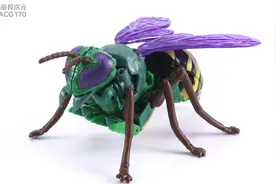 不死的反派角色！变形金刚 王国 加强级 黄蜂勇士图片