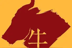 汉语比英语更简洁更有逻辑，沉迷中国网络小说的新西兰人说图片