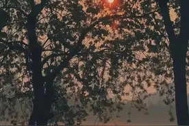 好听的歌曲20首（排名不分先后）图片