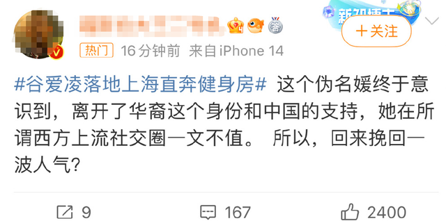 回国的谷爱凌，又被骂了