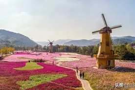 最新最全！岳阳这些地方“五一”放大招！图片