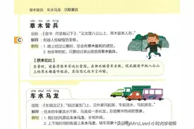 《小学生必背成语576个》成语解析含注音+出处+例句209页图片