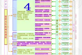 一图解读中成药治疗盆腔炎性疾病后遗症临床应用指南（2020年）图片