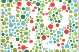 换驾照之前要进行色觉测试，试一下你能否顺利过关？图片