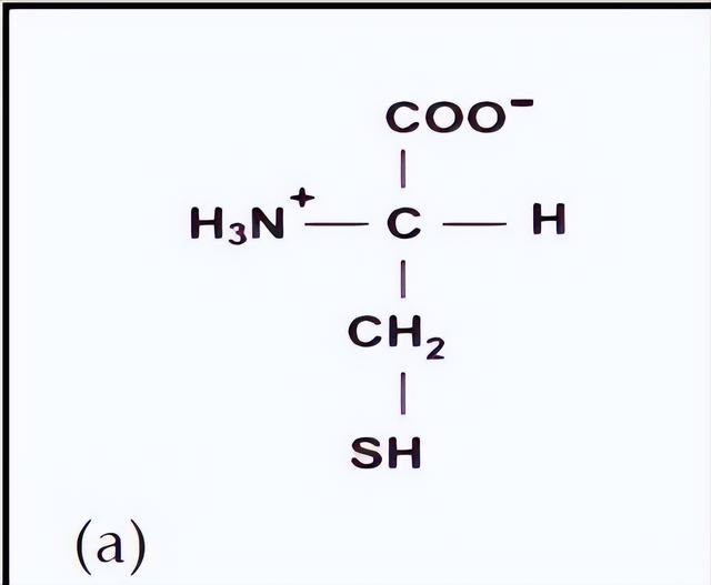 为什么老了就变黑、变黄？什么东西能去掉黑色素，让皮肤变白