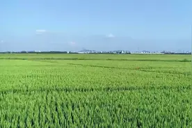 铁岭市首届“食品节”将于10月28日开幕图片