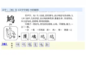 一字之差！鸠 与 鸩图片