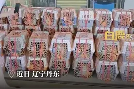 【男生带67只猫狗跨3400公里搬家：一只都没有放弃】图片