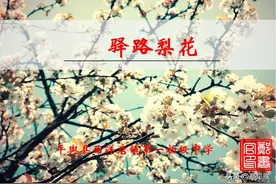 七语下第15课《驿路梨花》彭荆风原文+朗读+知识点+图文解读图片