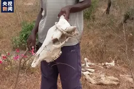 总台独家探访丨非洲之角旱情致千万人受灾 肯尼亚农牧民生活如何？图片