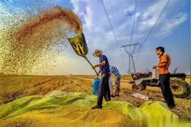 未来会真的无工可打吗？图片