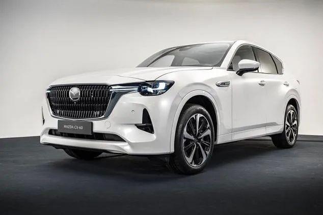 6ף2022ԴﻹȼͳȫCX-60