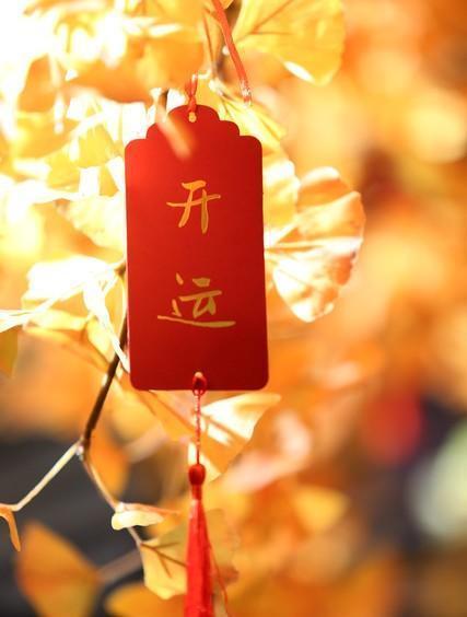 属猪人名字带这些字，竟然能大有作为，太神奇了