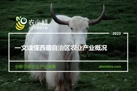 西藏自治区农业发展现状研究分析简报图片