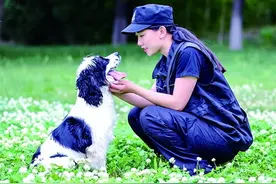 10年训导出3条“功勋犬”——滨海新区公安局天津港分局辅警贾亚飞的故事图片