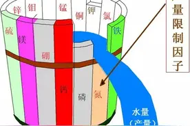 作物高产的五大膨果元素，少一个都不行图片