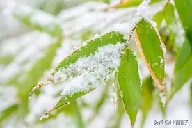 你还记得那年的大雪吗？还记得的大雪中发生的事吗？图片