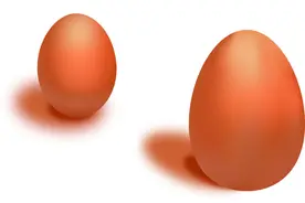 鸡蛋瘦身记1图片