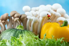 辽宁省新老办法和沈阳市新办法计算企业职工退休金差多少图片