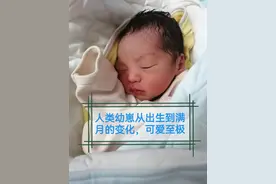 人类幼崽从出生到满月的变化，可爱至极图片