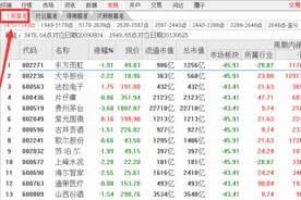 功能介绍：通达信软件操作指南（12）图片