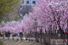繁花、流水、蒸汽机车……长春这个宝藏赏花地儿，值得来图片