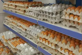 大量激素蛋流入市场？提醒：6种鸡蛋，尽量少吃或不吃图片