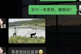 搞笑聊天记录分享，让你看完笑个不停图片