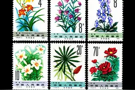 T字邮票收藏推荐，主打性价比，升值有潜力，适合新手玩家图片