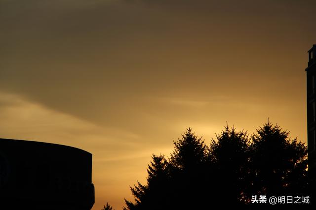 ͻȻð������3��17���ˣ�����ʮ�ߡ������š����飬Դͷ��������