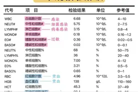 一张图教会你怎么看甲流和细菌感染的血常规图片